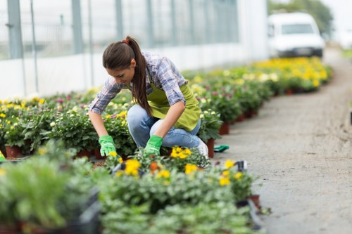 Landscape gardener preparing tools on a domestic garden site