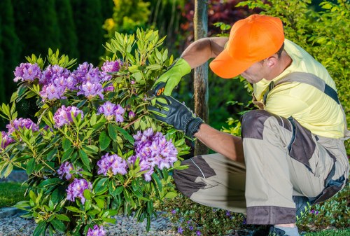 Team of gardeners and equipment at a residential garden in Yeading