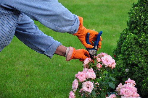 A gardener wearing a blue long-sleeved shirt and bright orange gloves is trimming a cluster of pink roses in a well-maintained garden. The garden features a lush, evenly cut green lawn in the foreground, with a row of dense, neatly trimmed evergreen shrubs to the right. Behind the shrubs, there are taller trees and a variety of flowering plants, creating a layered and vibrant outdoor space. The scene is set in natural daylight with clear weather, highlighting the rich green foliage and the soft pastel tones of the roses. The gardener's hand is positioned to carefully prune the flowers using a small garden tool, demonstrating attentive and precise maintenance typical of professional gardening services offered by Garden Maintenance Yeading. The image emphasizes the importance of regular garden care, including pruning, flower bed upkeep, and shrub trimming, contributing to a healthy and aesthetically pleasing outdoor environment in the Yeading area of the UK.
